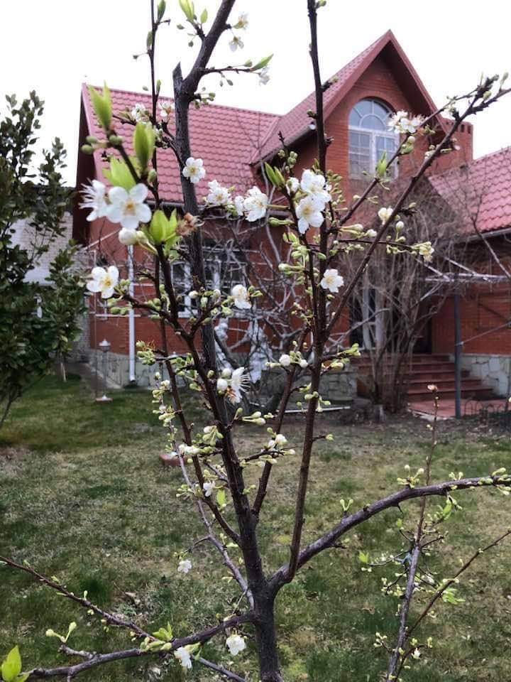 Обложка проекта: проект 175