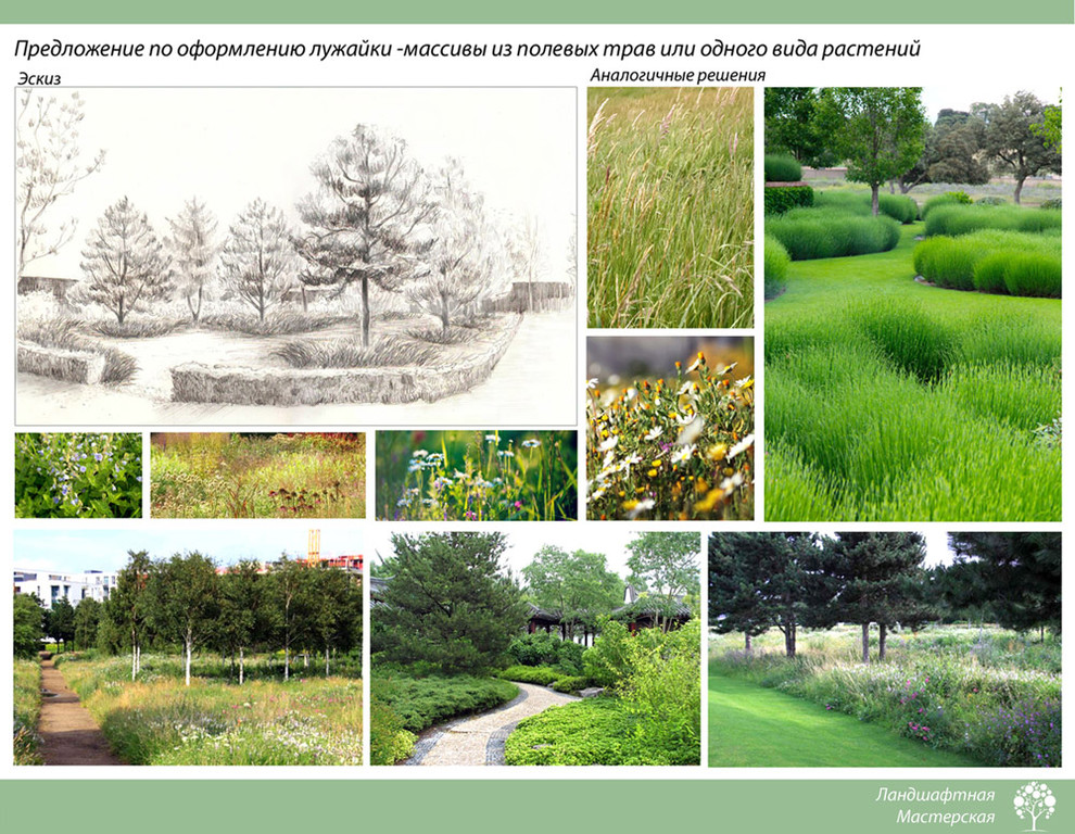 «Эскизный вариант проекта д. Маслово» (35 соток)