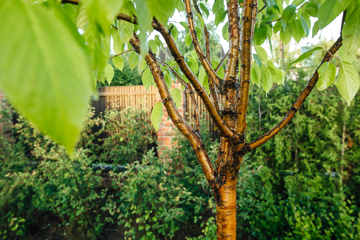 Равновесие