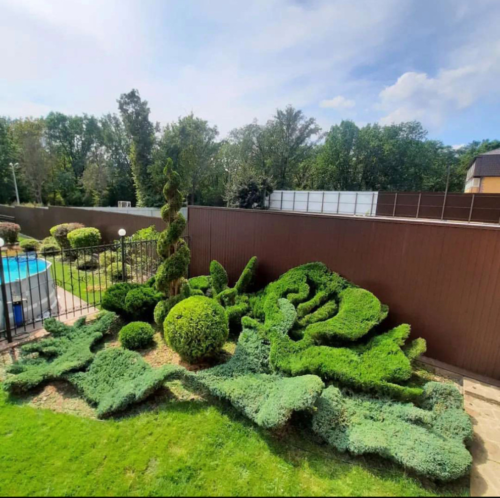 Обложка проекта: Топиарная стрижка