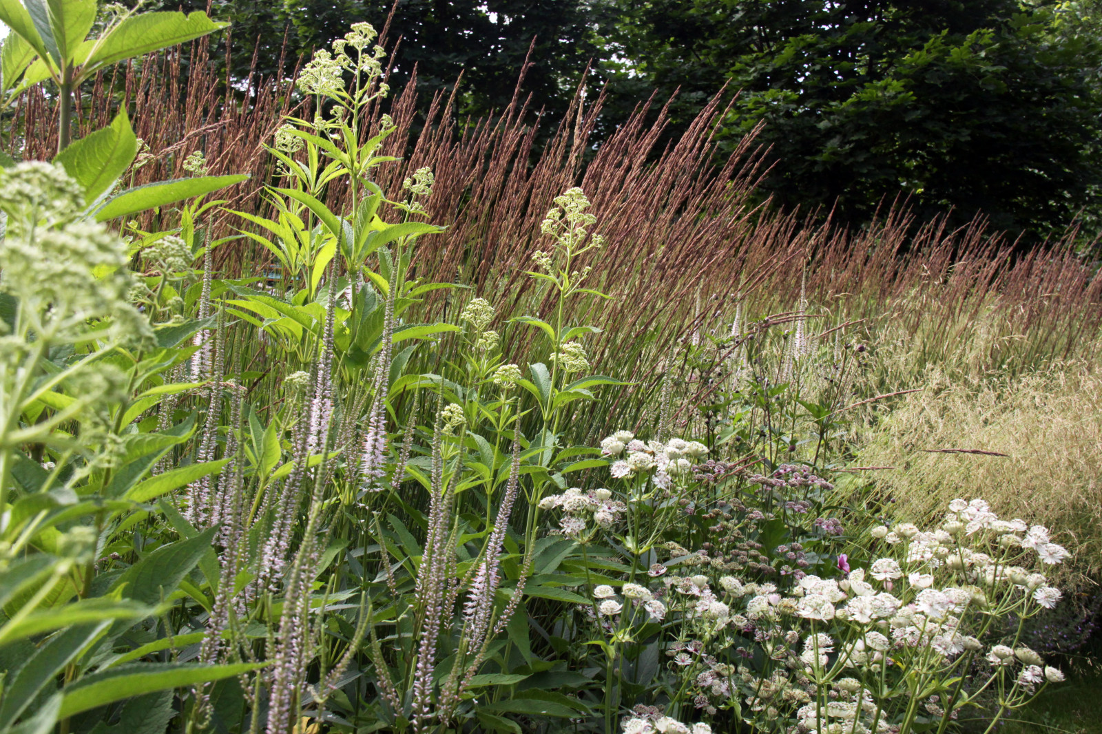 В духе ретро