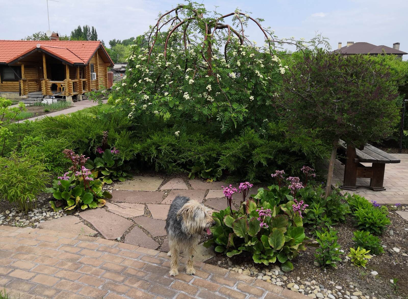 Обложка проекта: Сад на двух ярусах