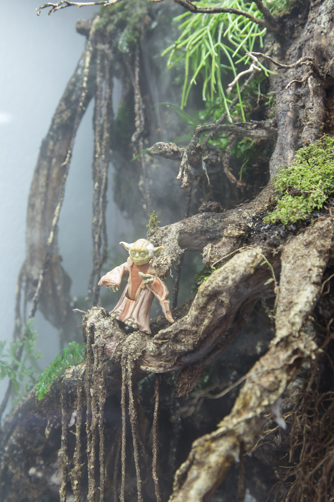 Houzz юмор: Террариум, стилизованный по фильму Star Wars