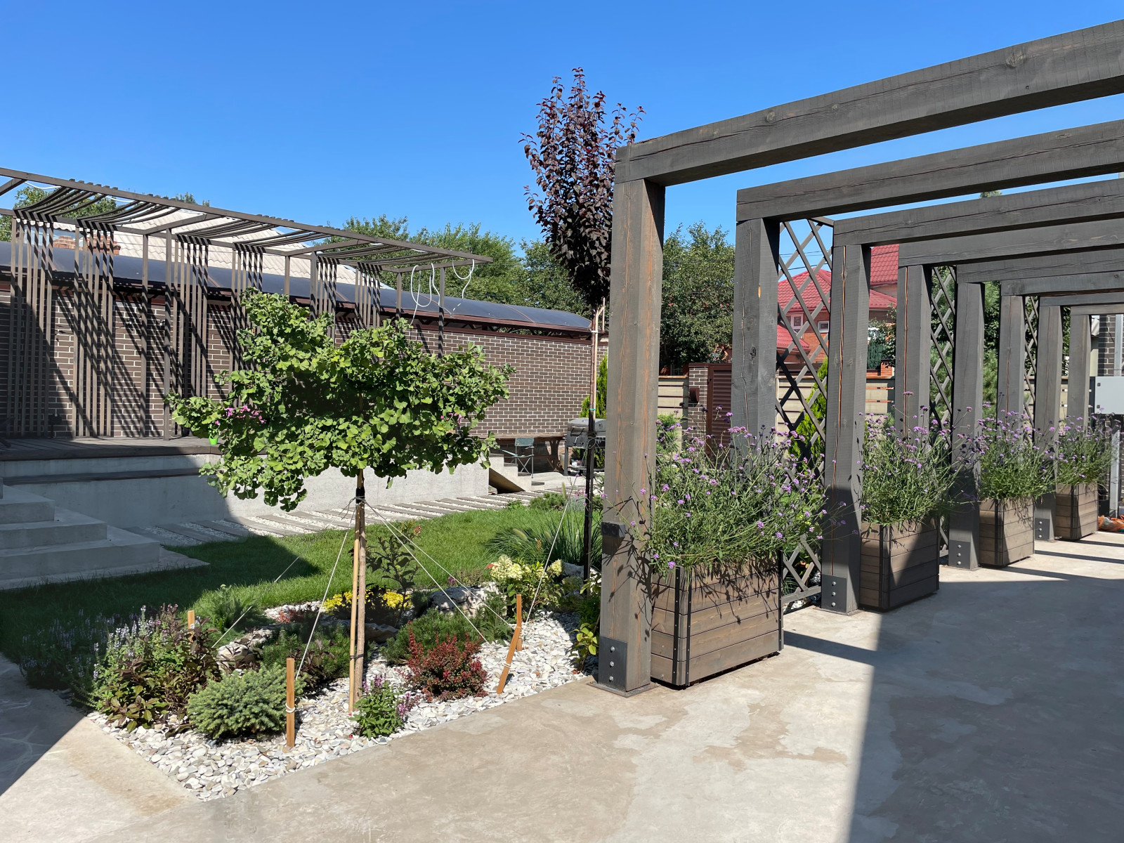Sunny garden