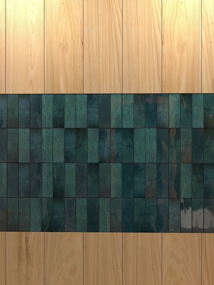 Санузел в проекте "Земля"