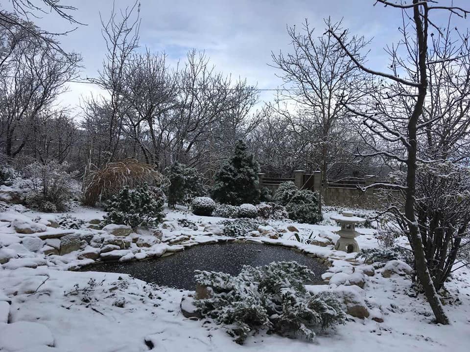 Они сошлись Восток и Запад