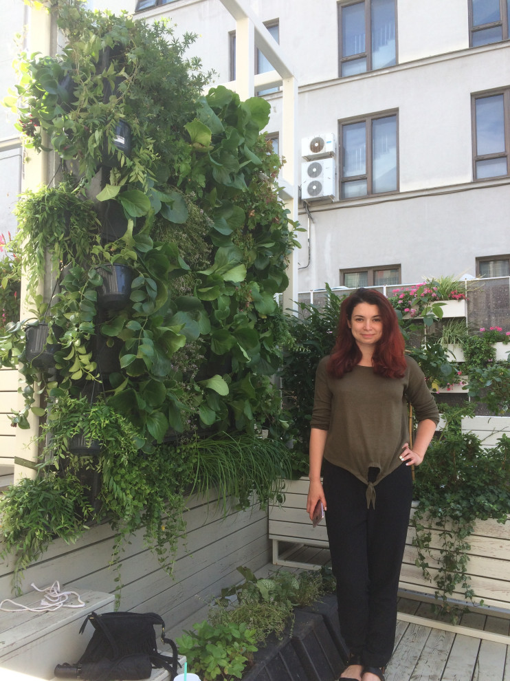 Зеленая стена