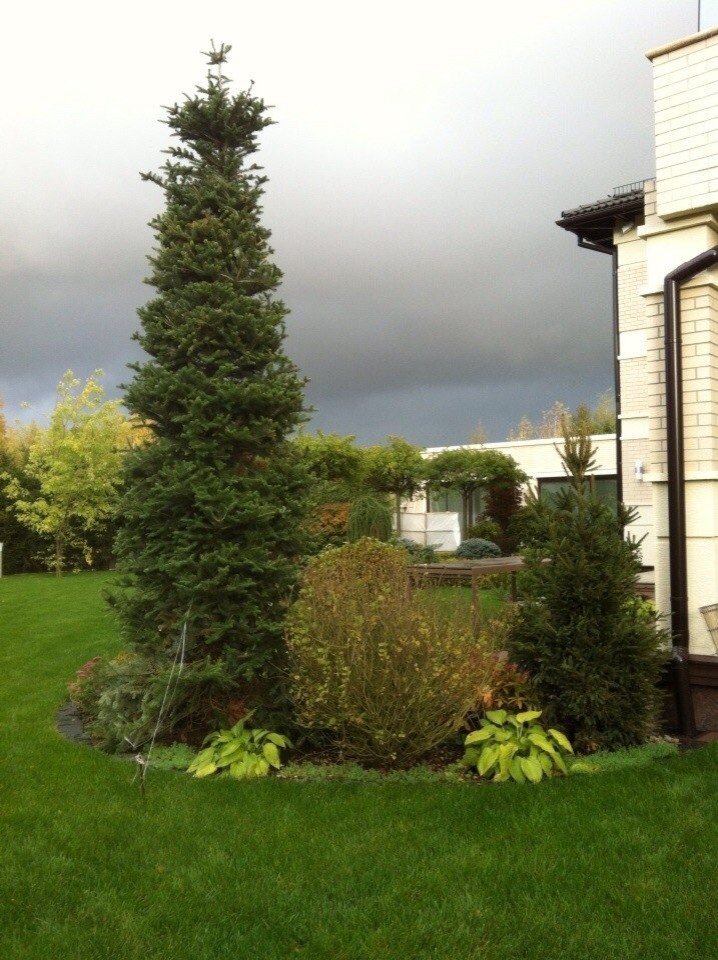 Circles on the ground