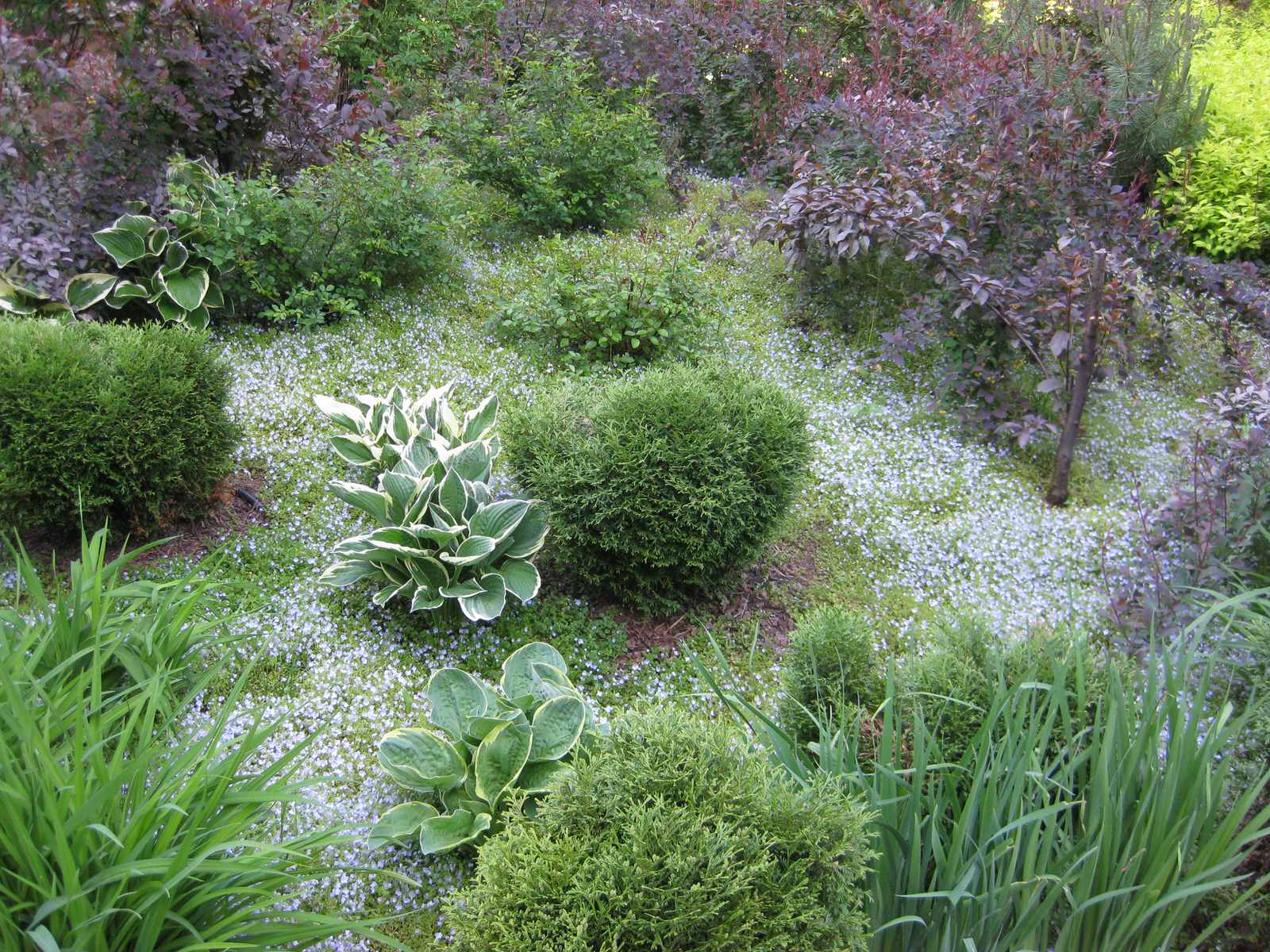 призамковый сад