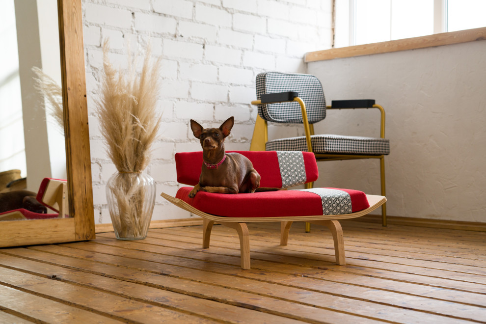 Дизайнерская мебель для собак и кошек