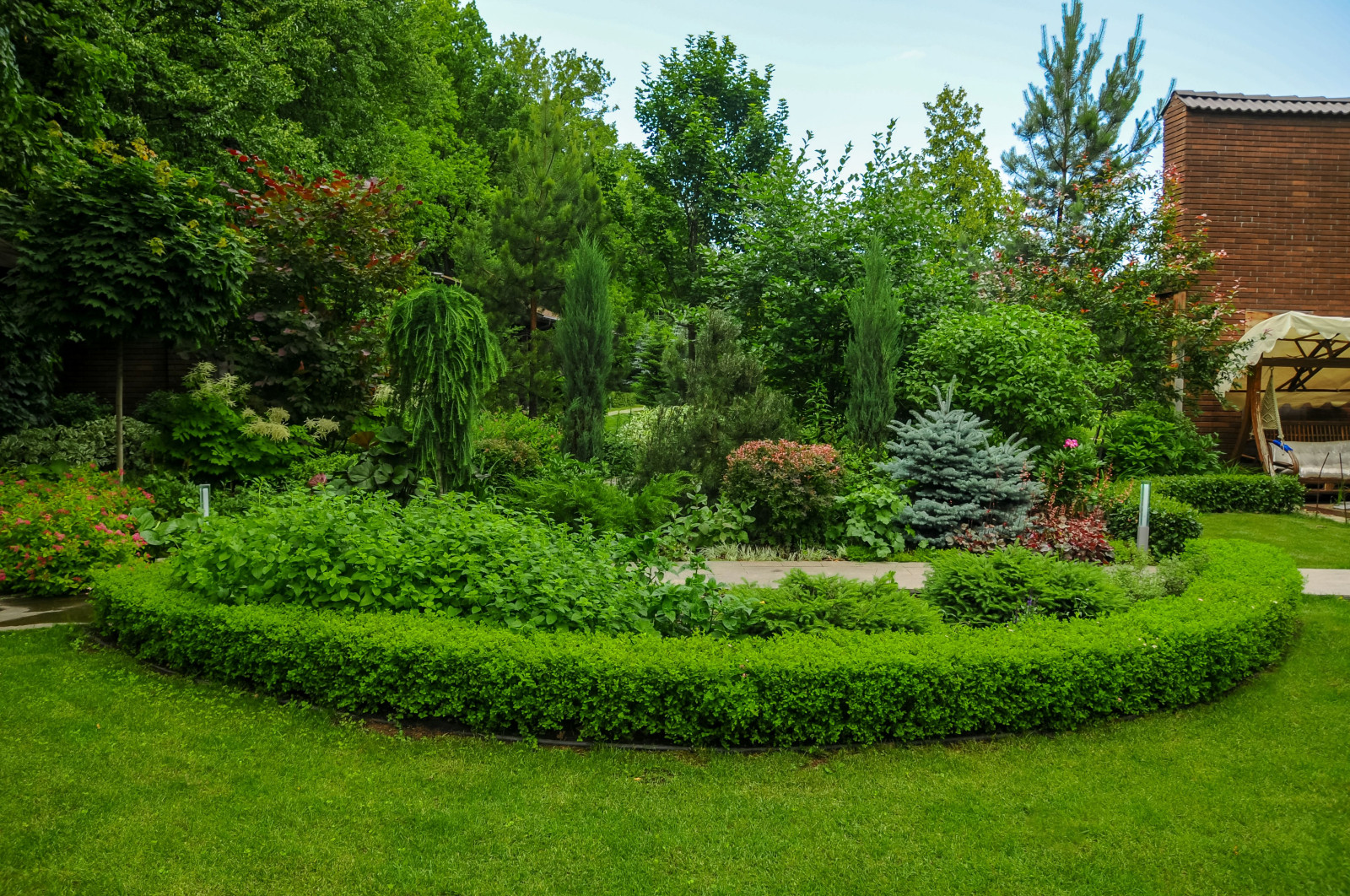 Обложка проекта: Лукоморье