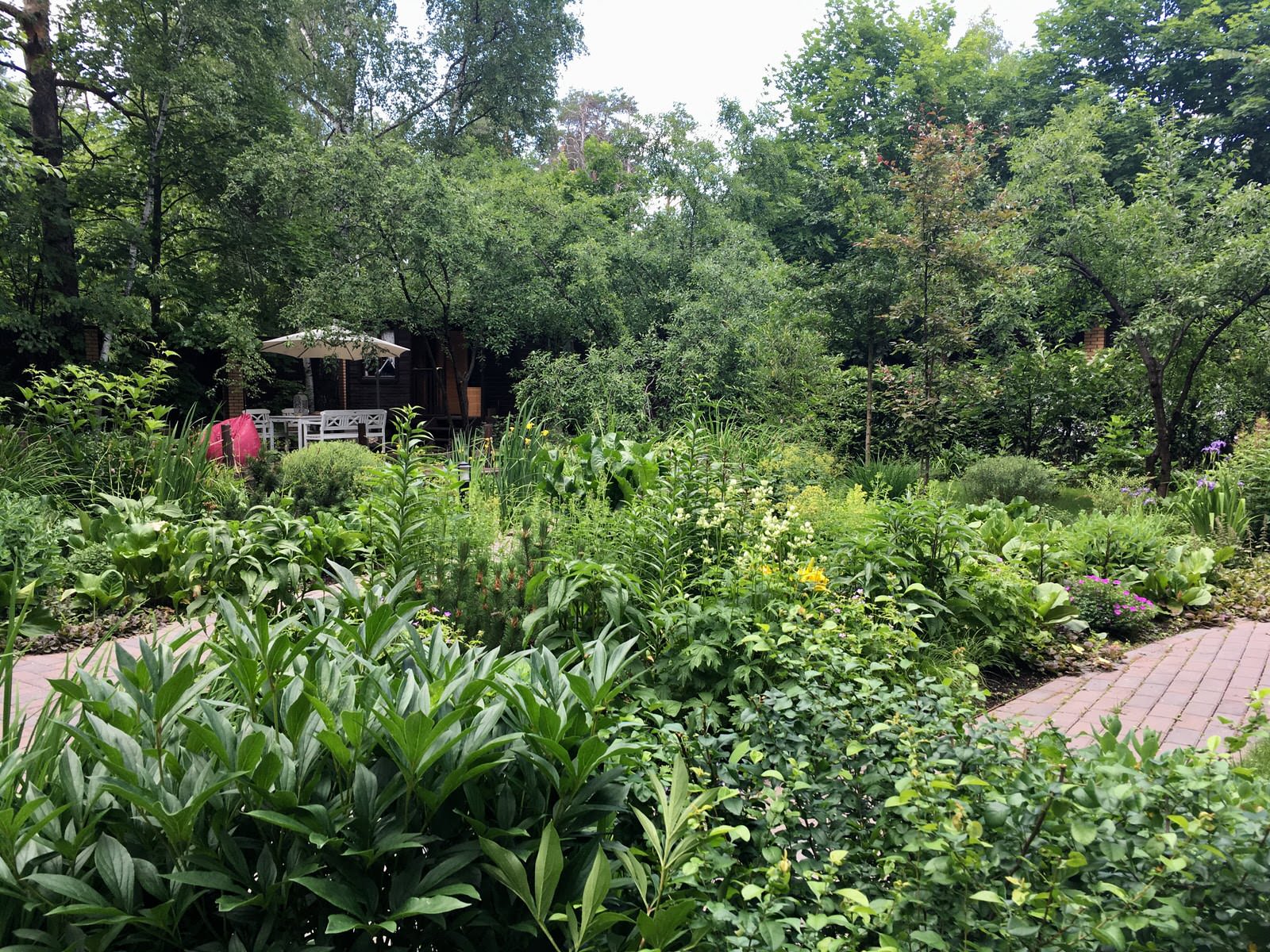 Белкин сад. Лето 2019