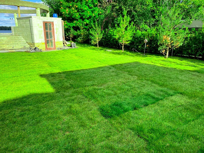 Создание рулонного газона