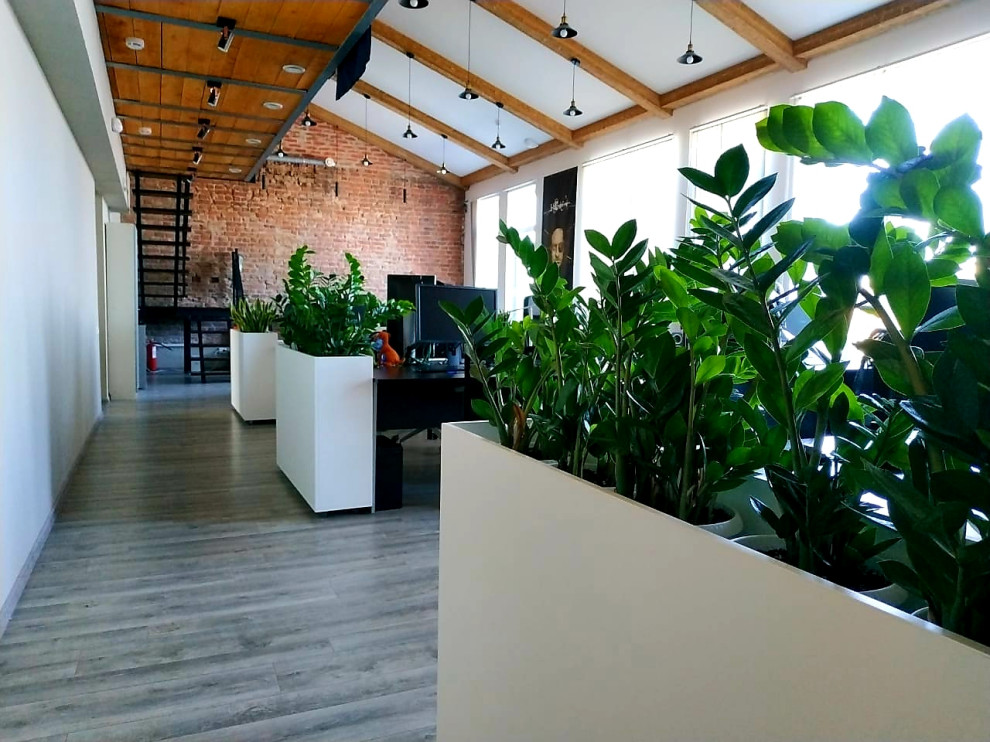 Озеленение офиса компании Кефир