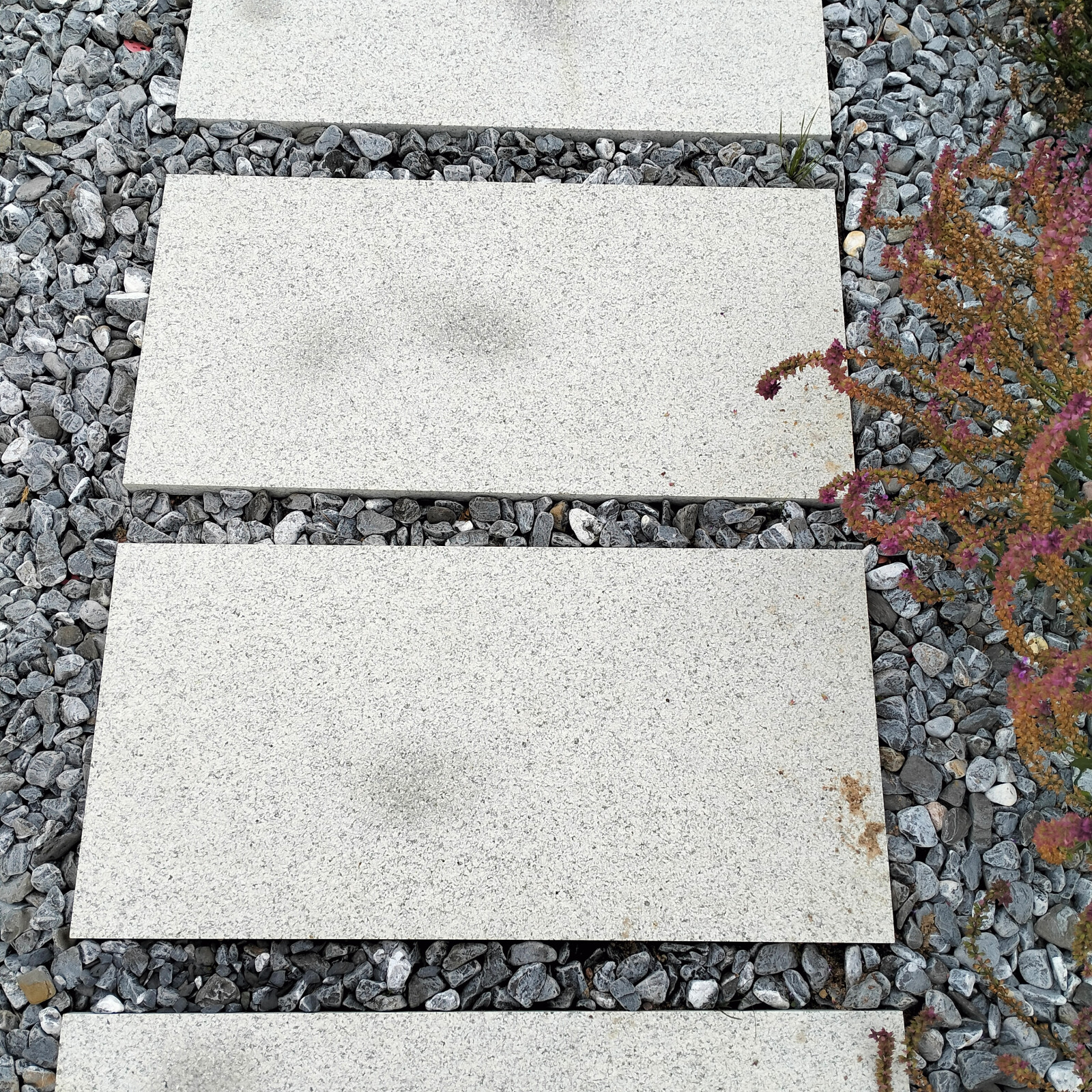 Участок 20 соток