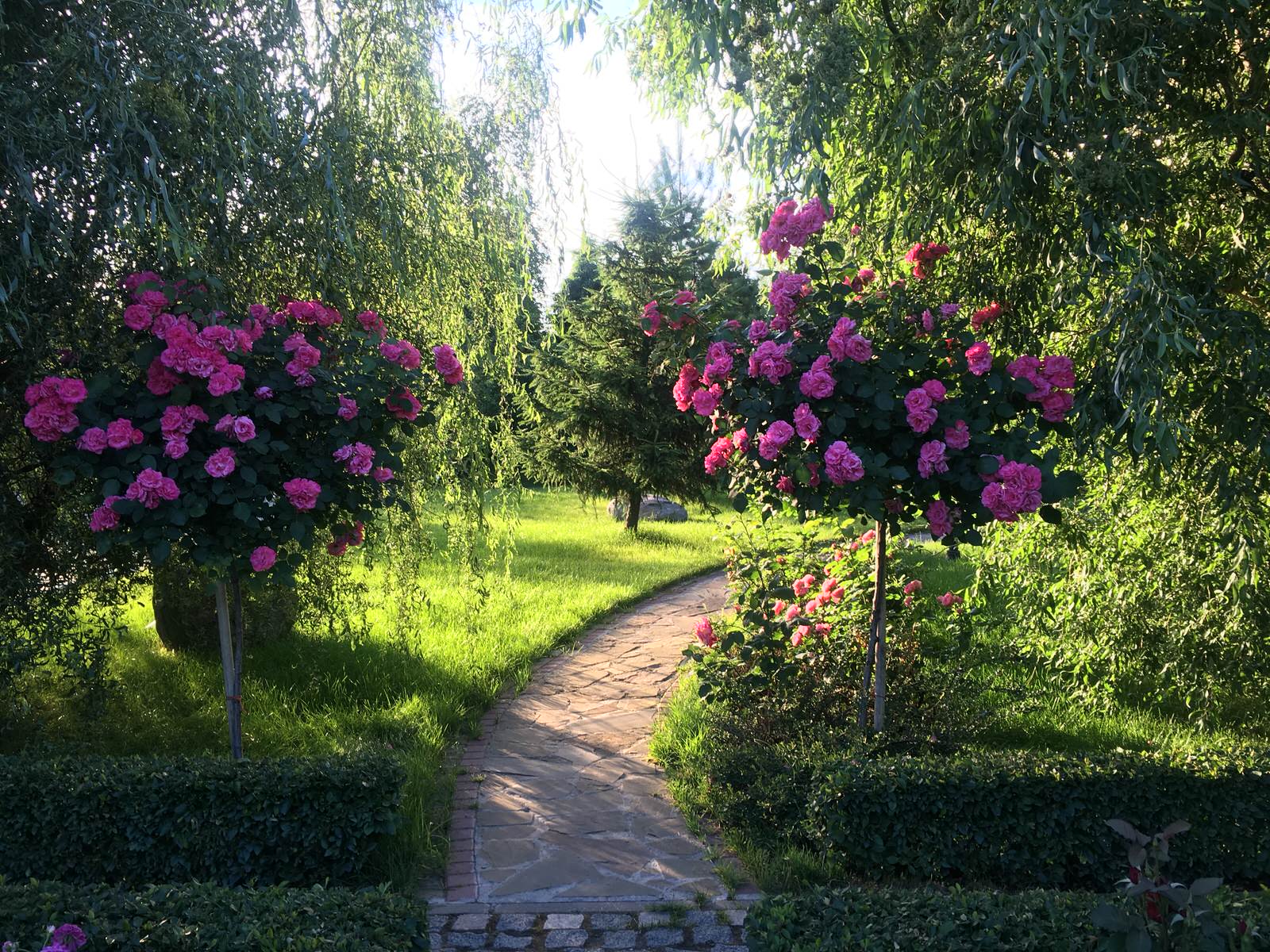 Парк в городе