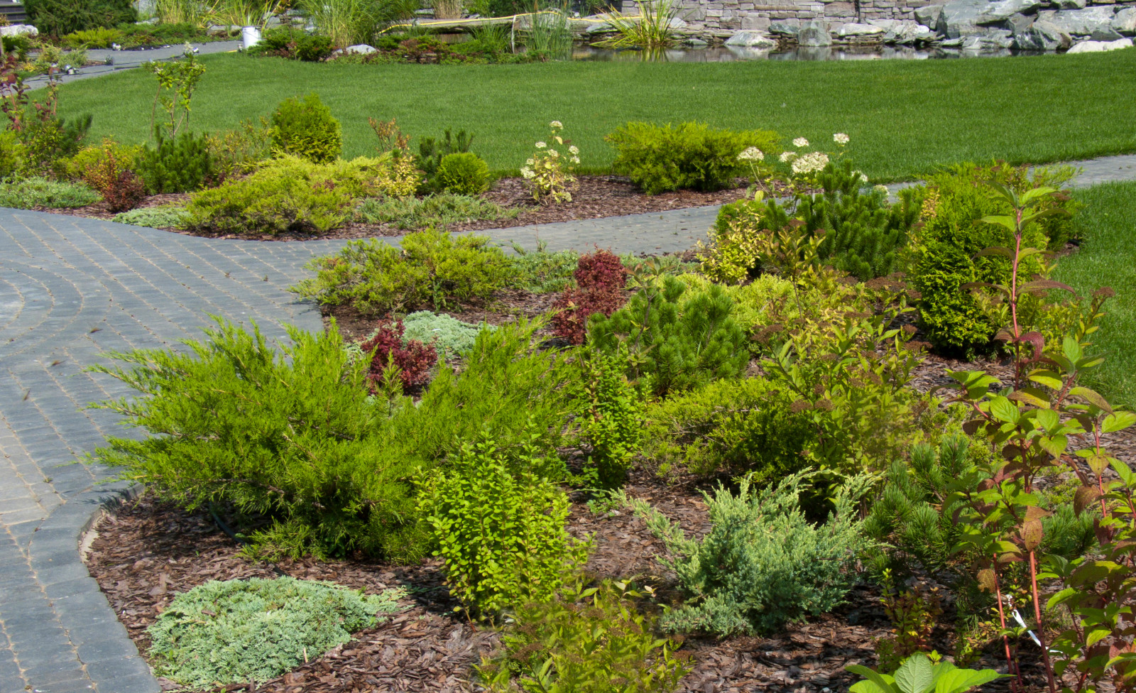 Обложка проекта: Зеленый сад