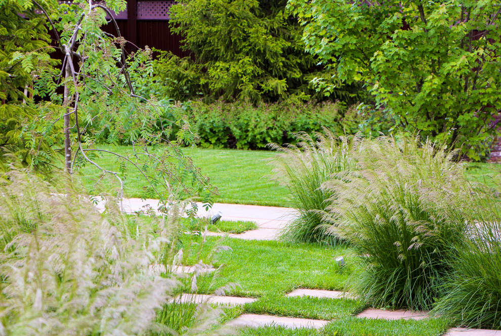 Петровское, 2018-2020 гг.