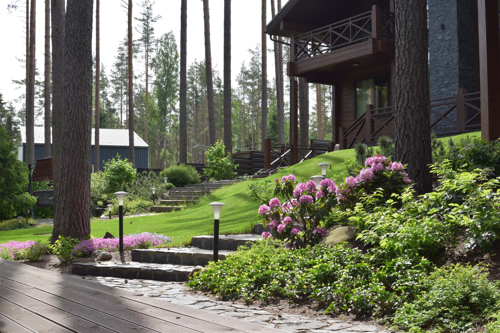 Сад в Карельском лесу