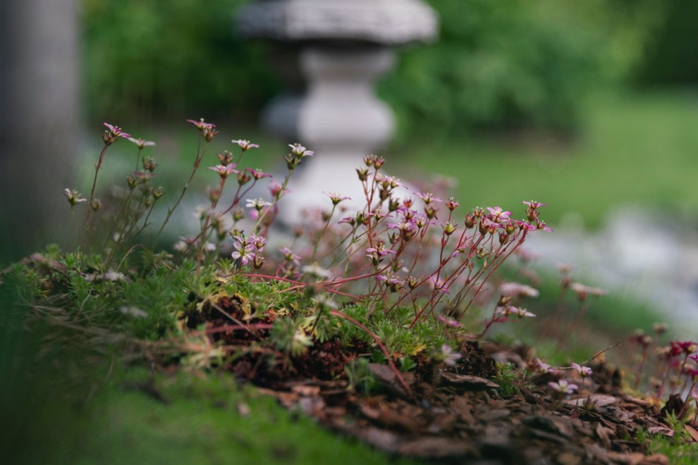 Элемент времени