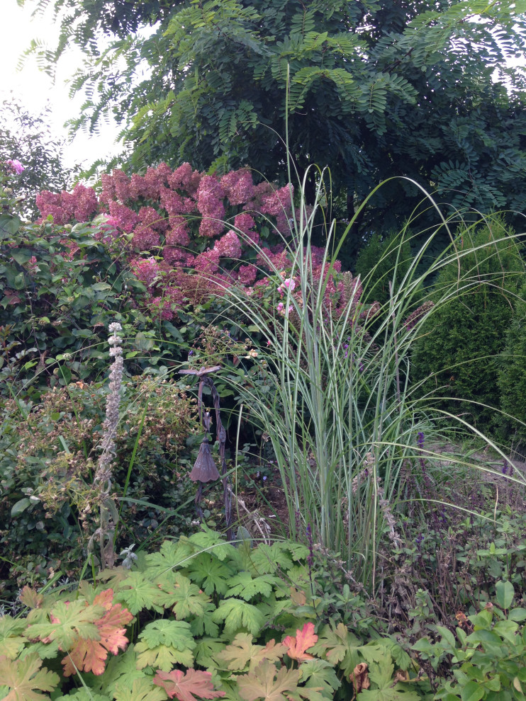 Сад на песках