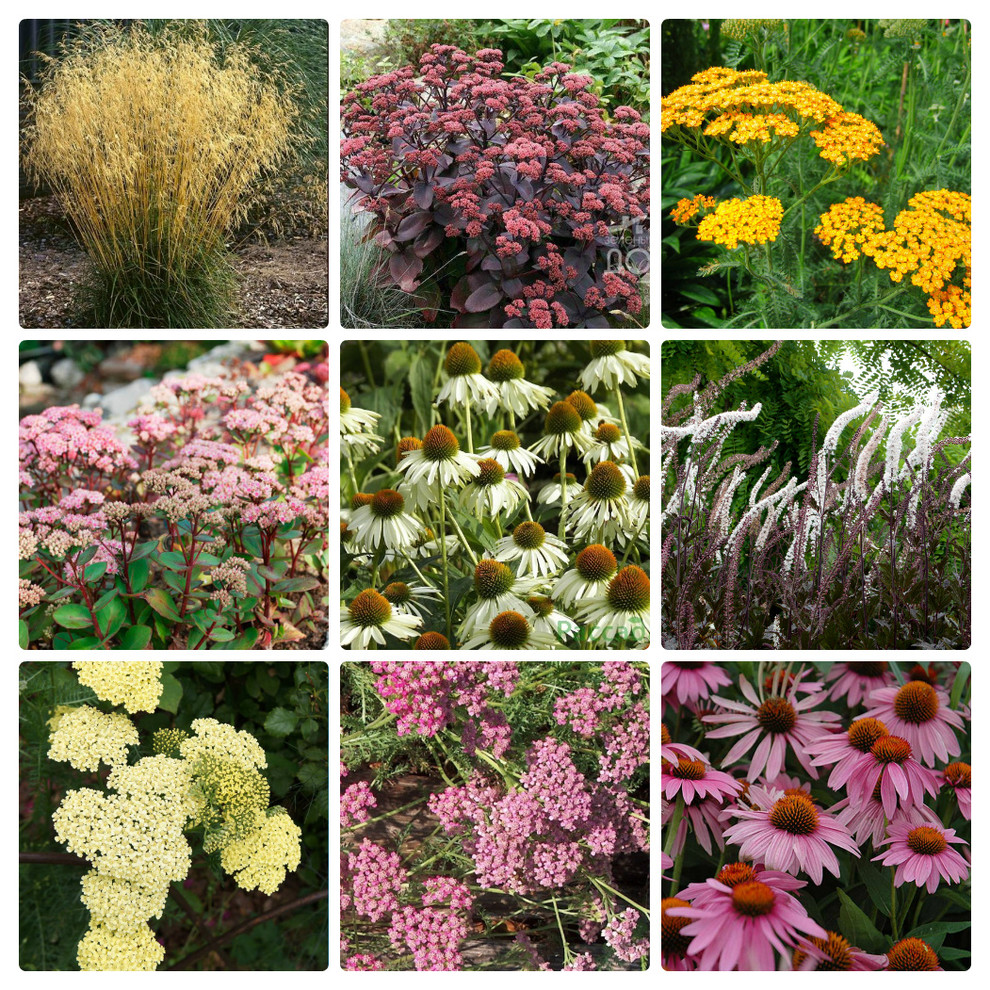 Рижское взморье