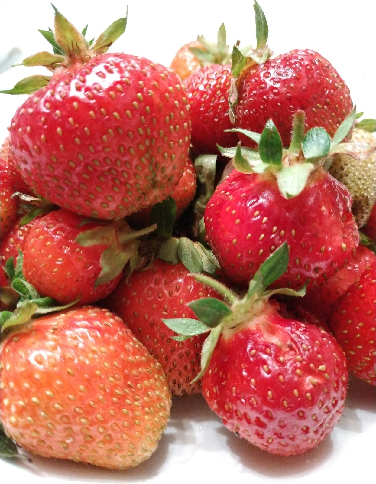 Обложка проекта: Дачный интерьер