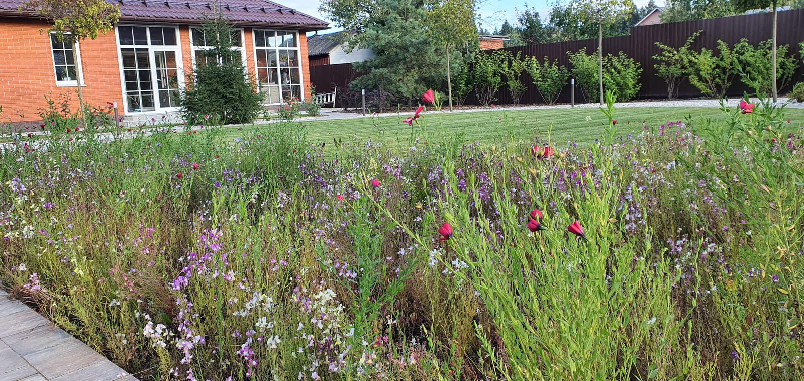 Участок в Софрино