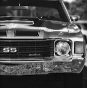 Дима Шекало