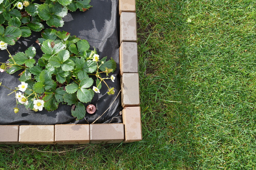 Токкари Лэнд