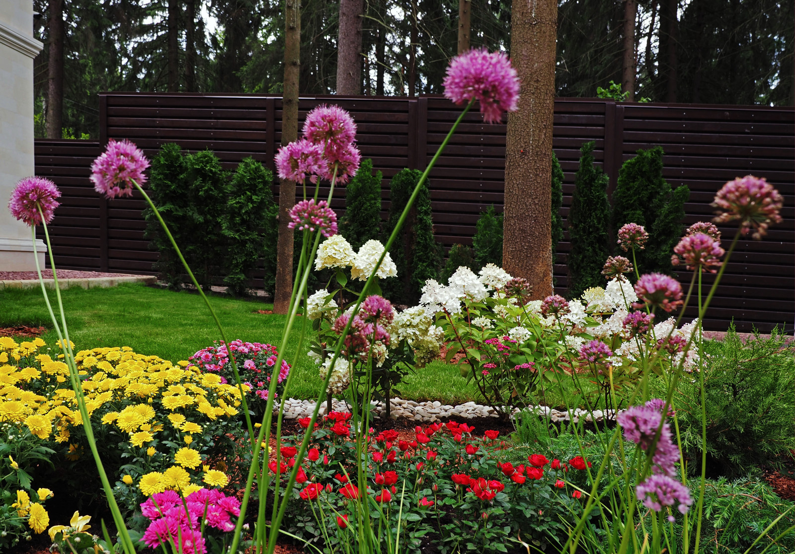 Проект Грибово