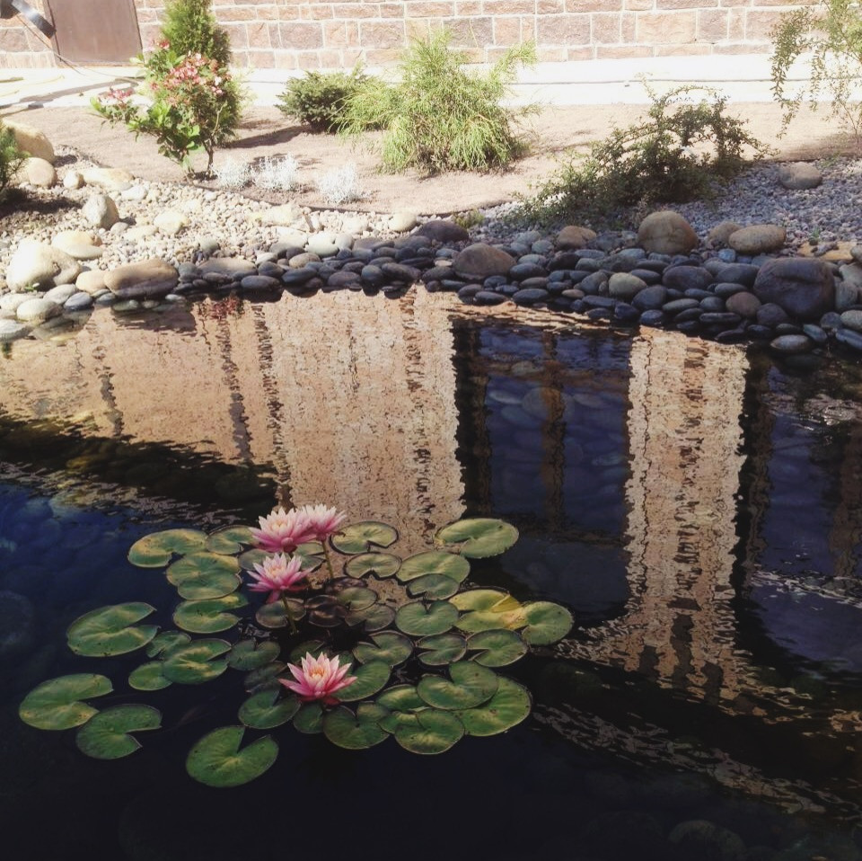 Ландшафтный дизайн участка 8,5 соток.