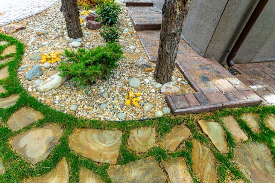 Портфолио Drevos