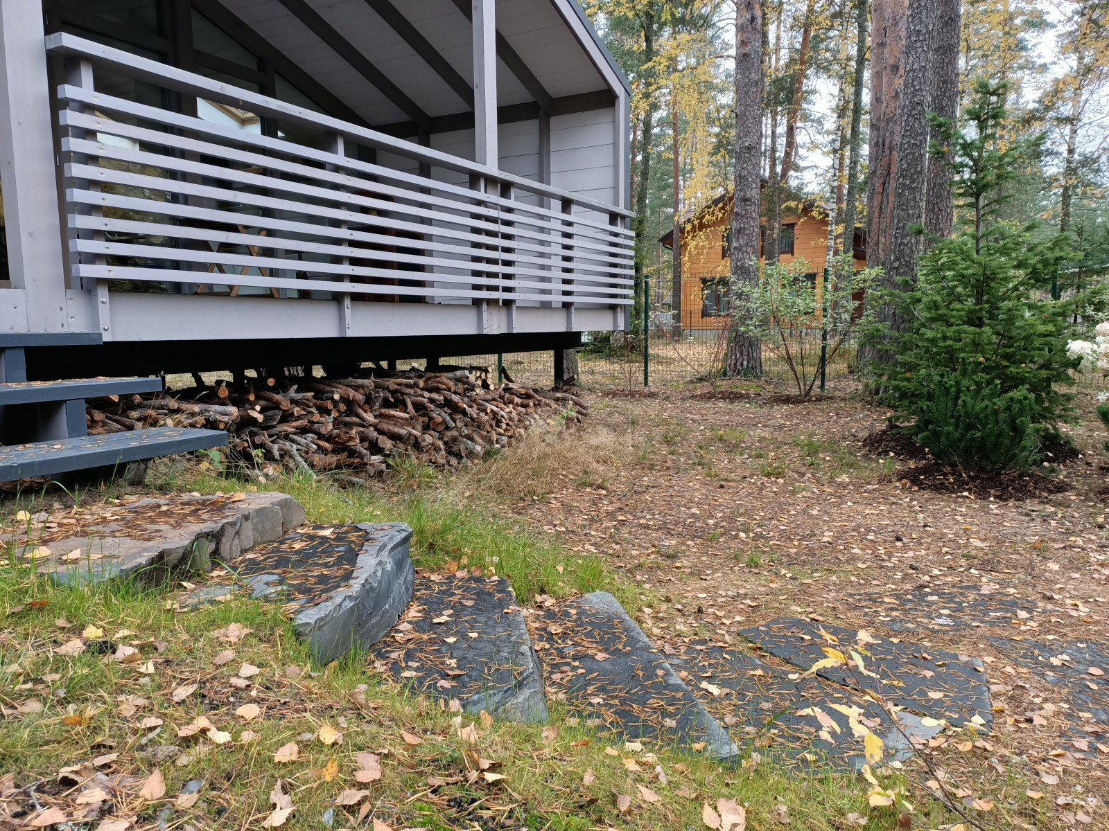 Участок в сосновом лесу, 2020