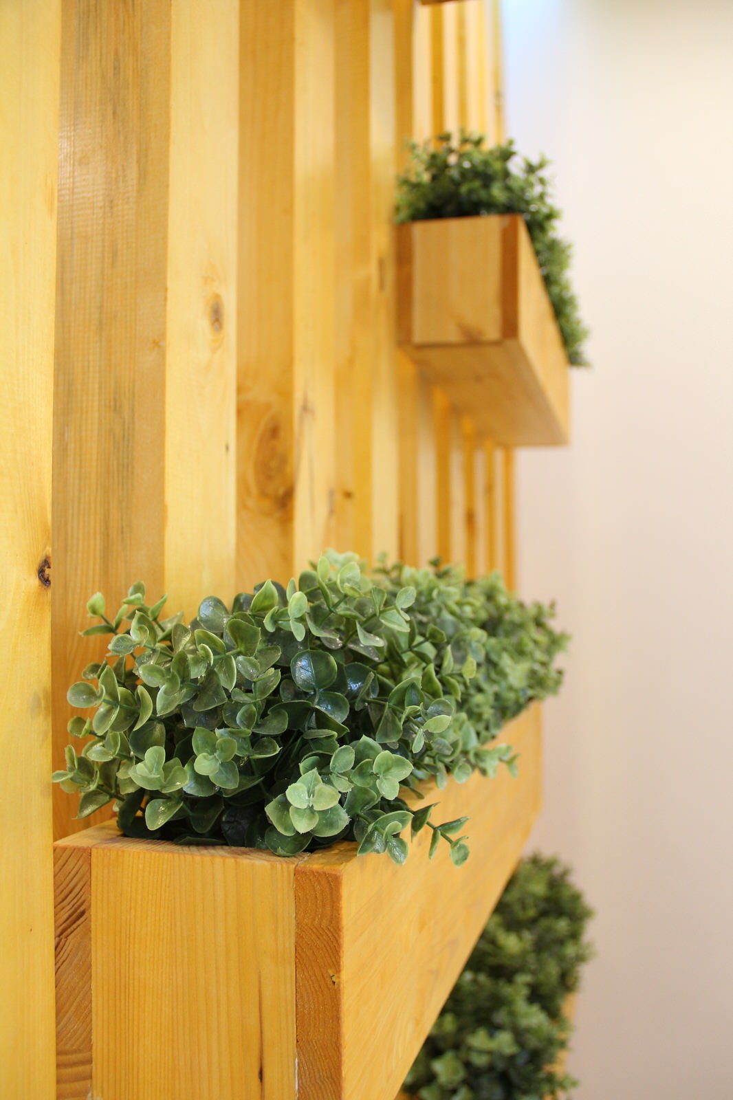 Экологичный Функционализм