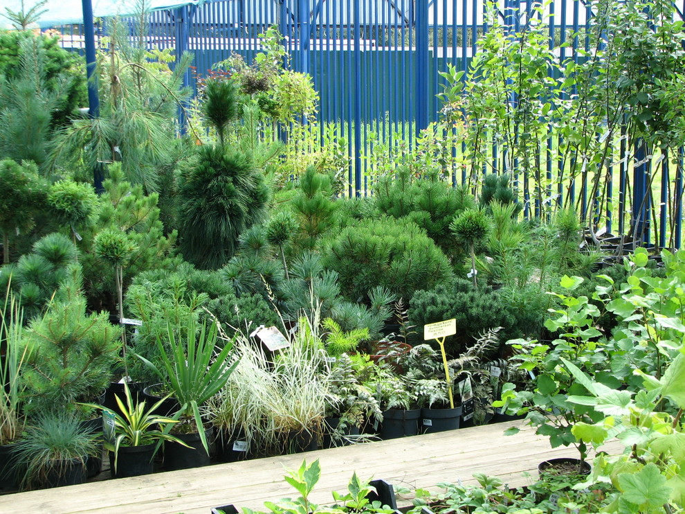 Наша продукция