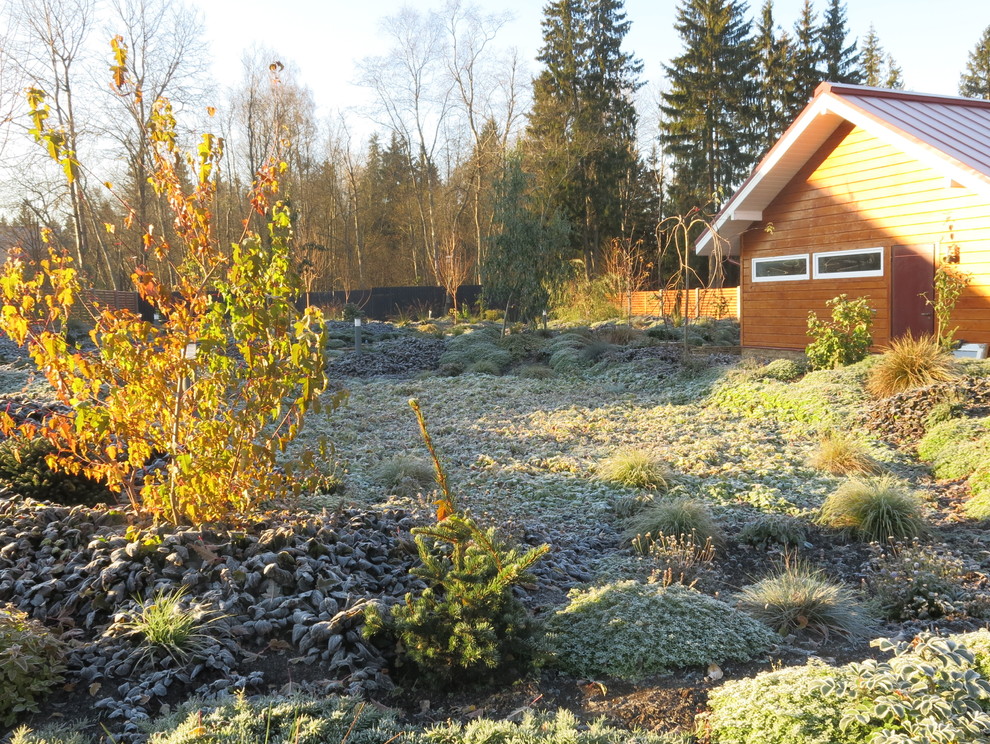 ЯГОДНОЕ ЛУКОШКО. СЕЗОН 2016. ПРЕДЗИМЬЕ. ПЕРВЫЕ ЗАМОРОЗКИ.