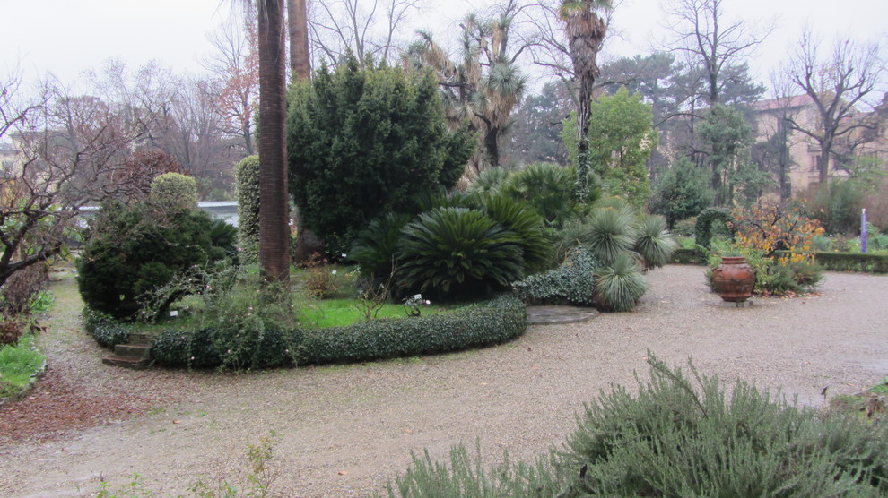 Городское озеленение