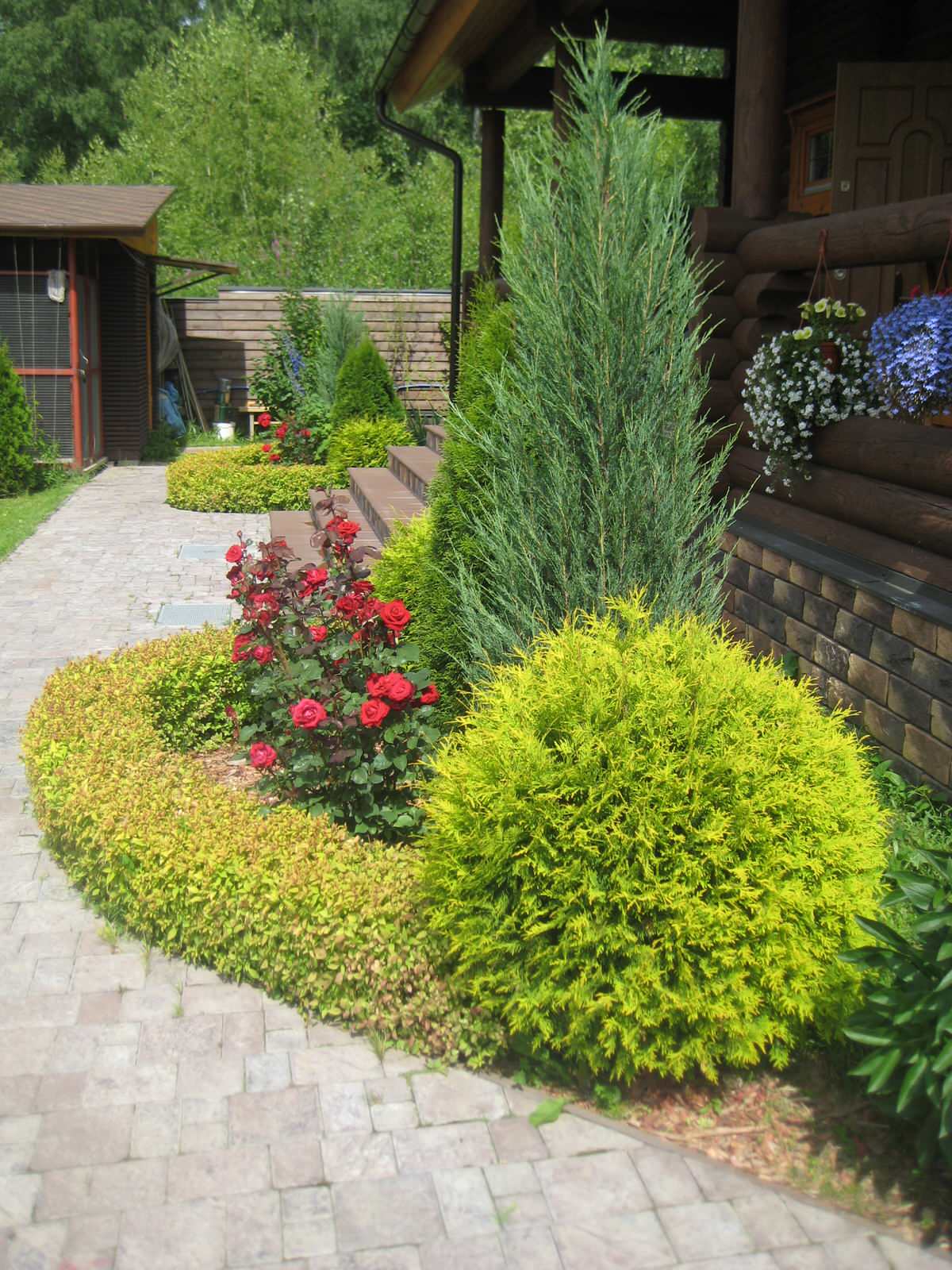 Алексей Бабин