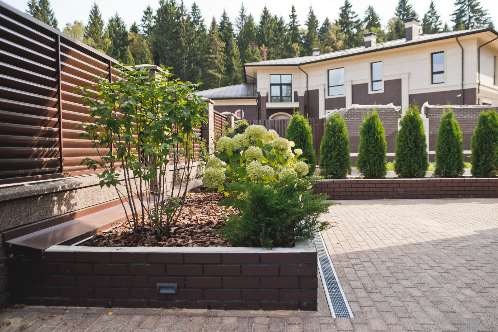 Сад на краю леса