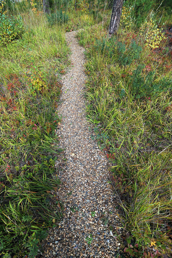 Лес и огород