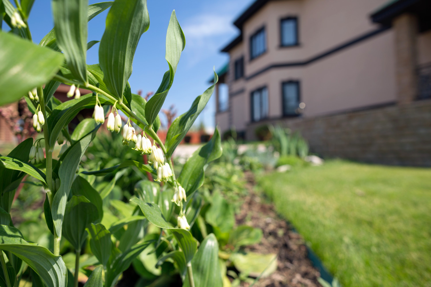 Новая Рига, Москва