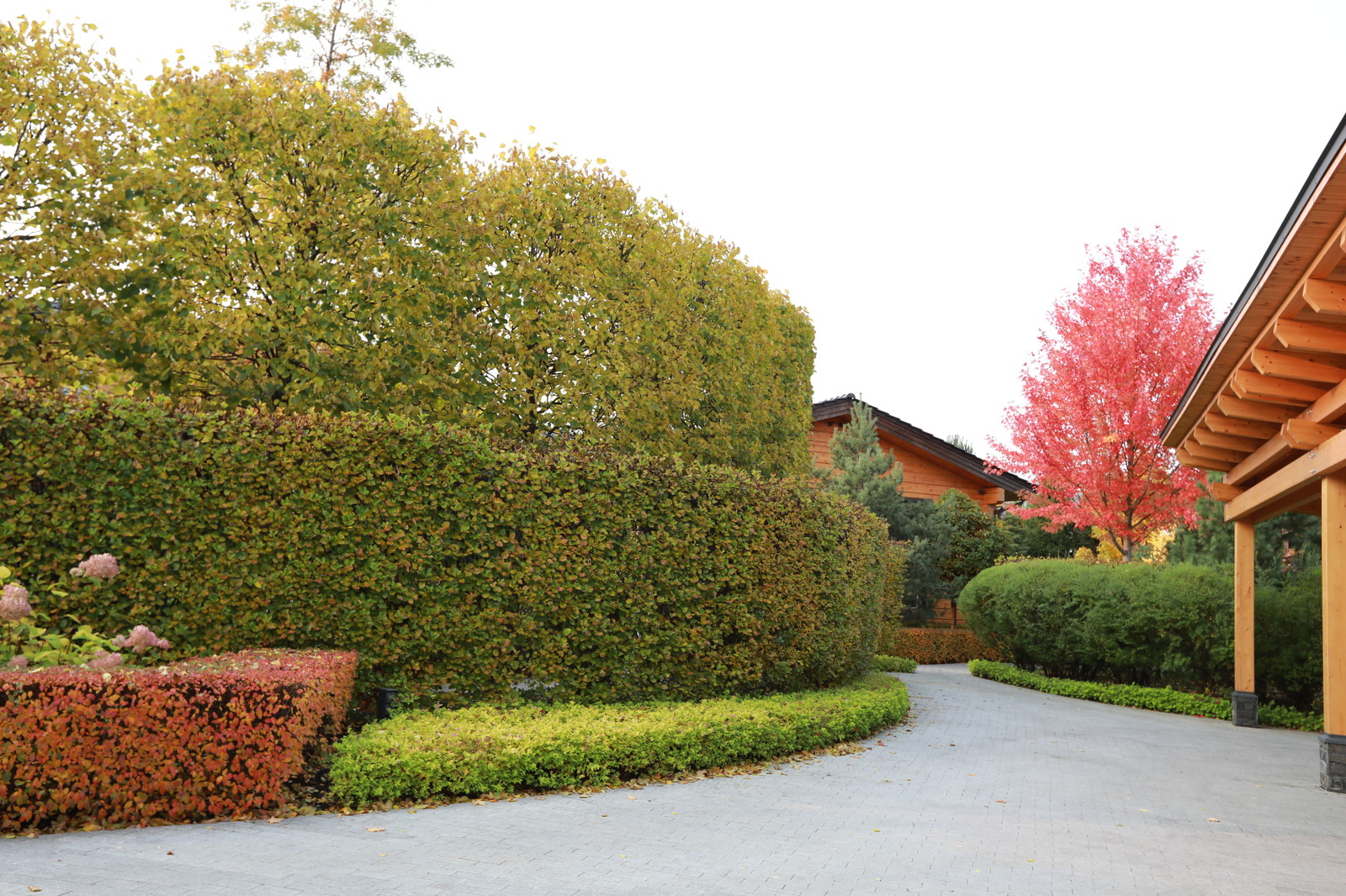 Современный взгляд на классику