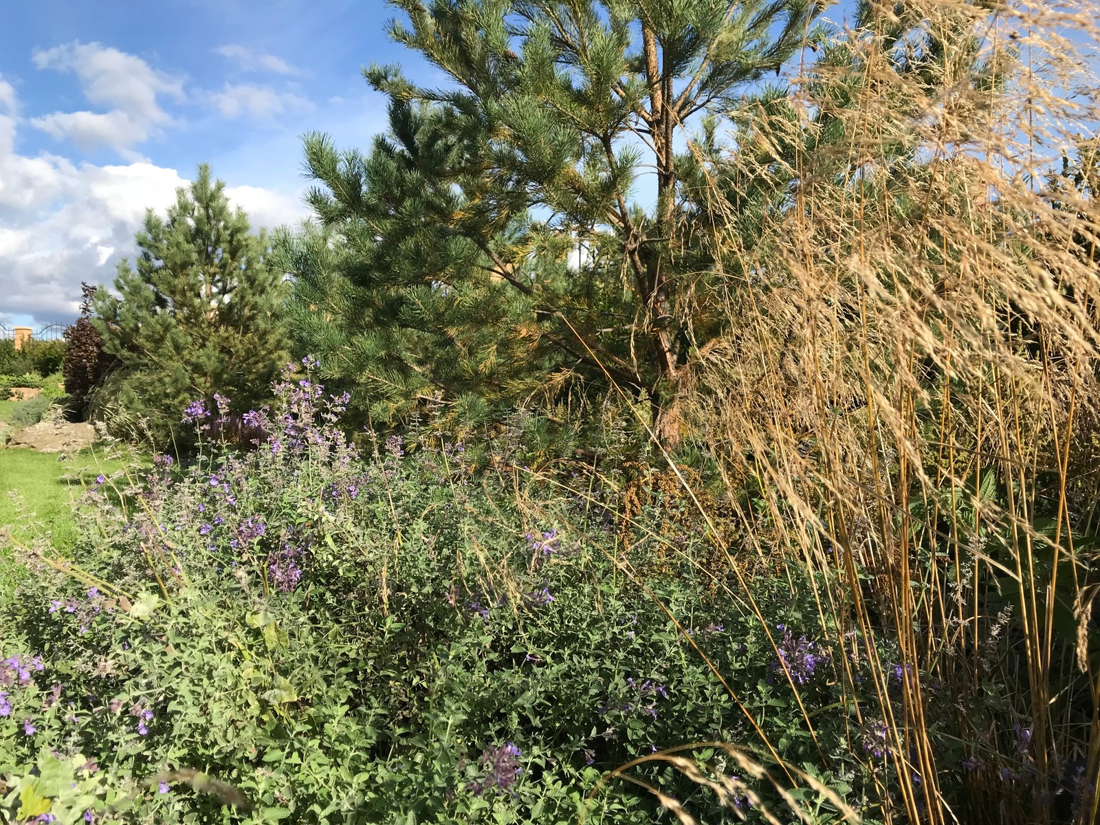 Свежий Ветер, 0.25 га