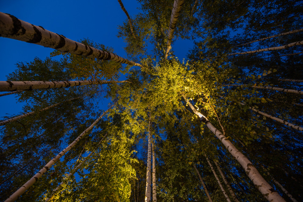 Английская история