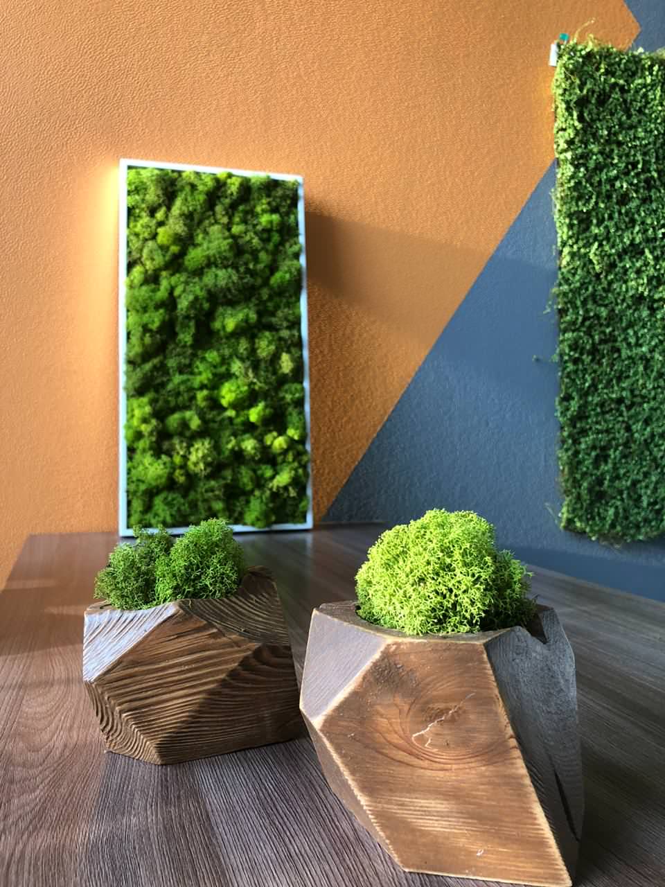 Обложка проекта: Эко-декор