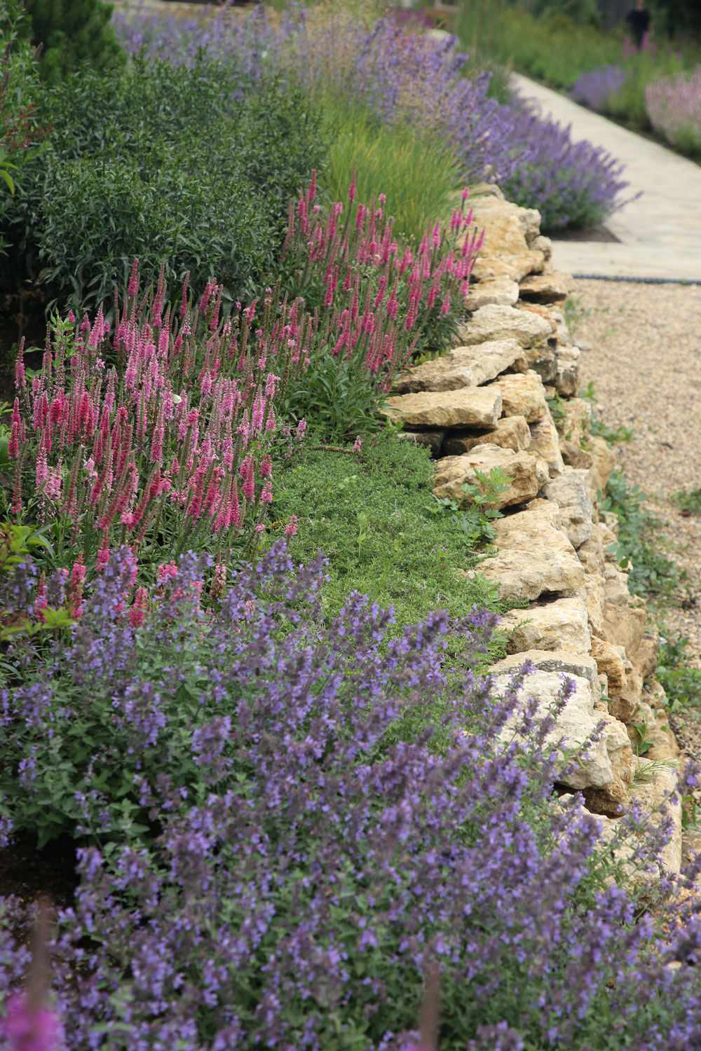 Обложка проекта: Зеленый мыс