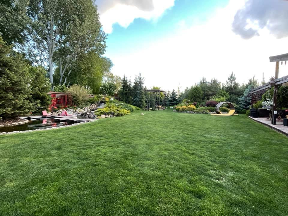 В гостях: Загадочный сад в Херсоне на 12 сотках