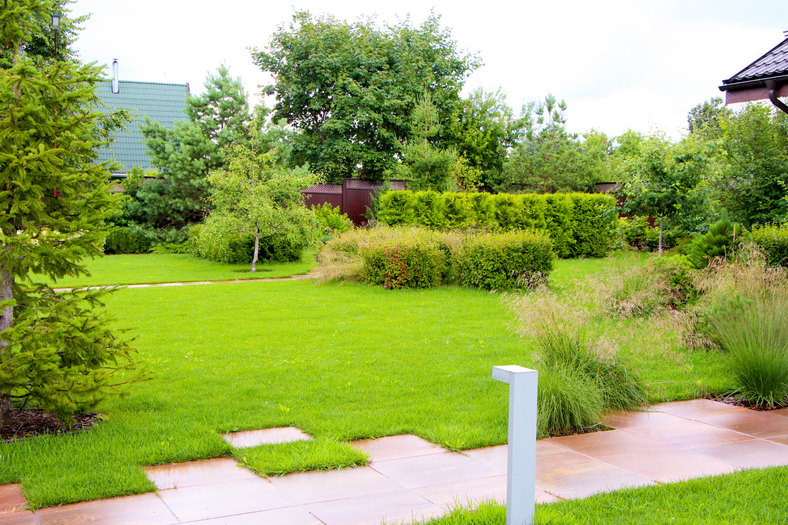 Петровское, 2018-2020 гг.