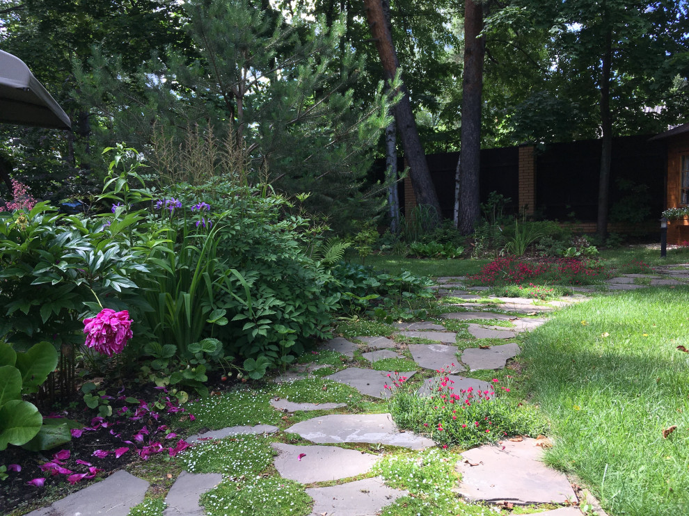 Белкин сад. Лето 2019